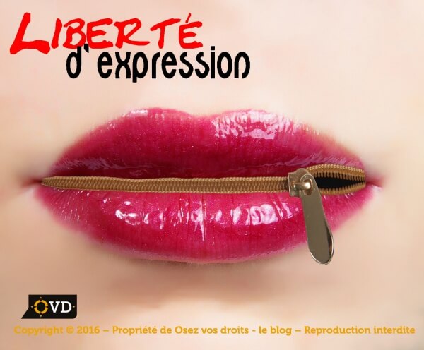La Liberté D’expression Est Un Droit Fondamental En France