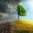 les causes et les conséquences du changement climatique
